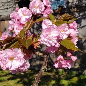 Meet your Posher, Michele